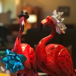 Meet your Posher, Ann